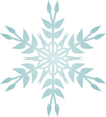 Snowflake Crystal in Winter