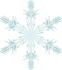 Snowflake Crystal in Winter