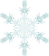 Snowflake Crystal in Winter