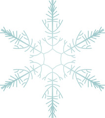 Snowflake Crystal in Winter