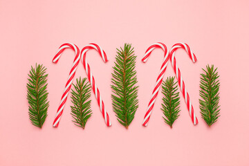Christmas background. Fir tree branches and candy cane on pink background. Christmas, winter, new year concept. Flat lay, top view, copy space.