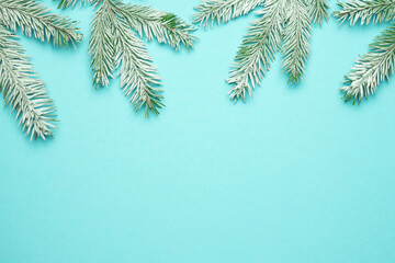 Winter background. Snow-covered fir branch on blue background.