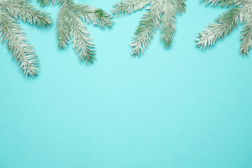 Winter background. Snow-covered fir branch on blue background.