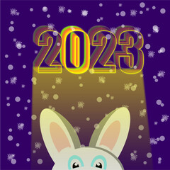 2023 New Year