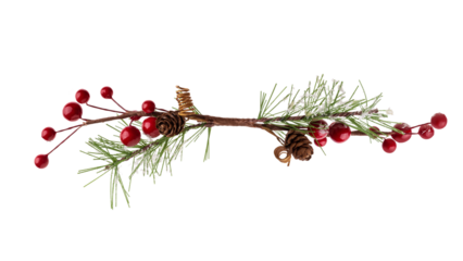Fir branch, with branches of red berries and snow isolated. christmas tree.Christmas green spruce branch,   decoration red berries holly. green fir tree branch, isolated on transparent background png