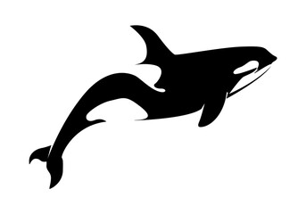 Vector illustration of a whales . dolphin silhouette isolated on white