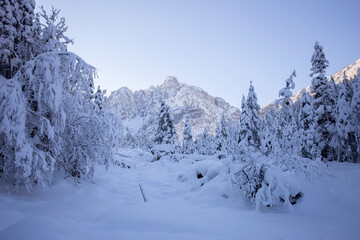Fototapeta premium Kranjska Gora in Slovenia, winter landscape