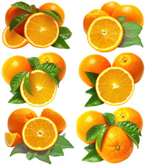 Set of orange fruits