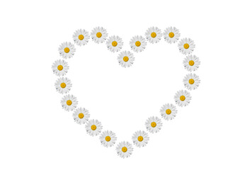 Heart made of daisies flowers. - Powered by Adobe