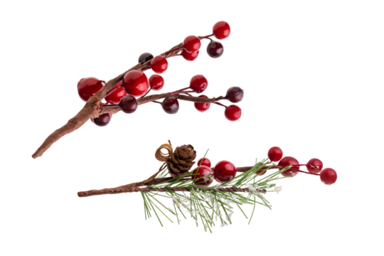 Fir branch, with branches of red berries and snow isolated. christmas tree.Christmas green spruce branch,   decoration red berries holly. green fir tree branch, isolated on transparent background png
