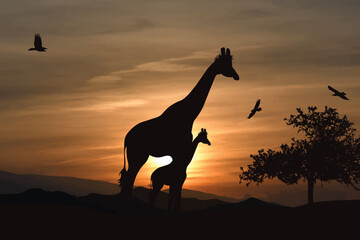 Vector silhouette of giraffe on sunset background.
