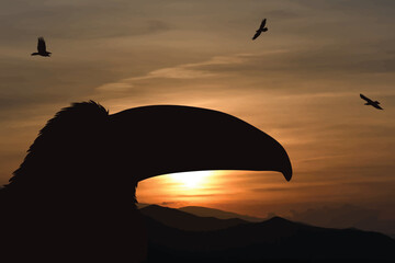 Vector silhouette of parrot on sunset background.