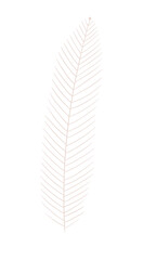 plants and flowers. magic sacred illustration in vintage retro engraving style