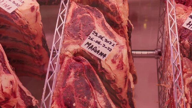 Vertical Screen: Dry aging cabinet with beef meat in cold storage. Dry-aged cuts of raw meat. Food manufactoring.