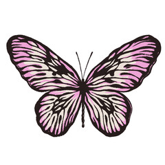 Artistic butterfly, brush and paint texture. High quality illustration