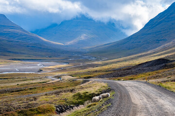 Naklejka premium Landscape of the East Fjords (Iceland)