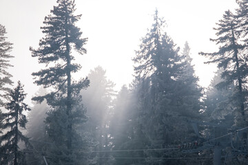 Obraz premium Fog in the winter forest. Chair lift in the ski resort of Bansko, Bulgaria. Winter landscape in the Pirin mountains