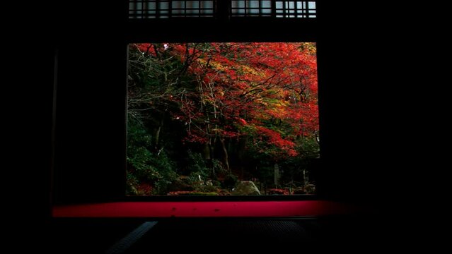 湖東三山・金剛輪寺の紅葉