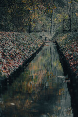 Forest in autumn - water canal