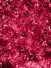 Closeup branches of coniferous tree decorated with glittering balls and shiny light garland on Christmas day at home. Color Of The Year 2023 - Viva Magenta