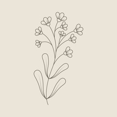 Leaves & Flowers Line Doodle