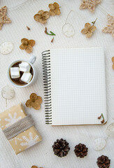 Fototapeta na wymiar Concept for holiday. Craft eco gift, dried flowers, lunaria rediviva,coffee cup with marshmallows, fir cones, wicker stars on white knitted background. Note book top view mock up.