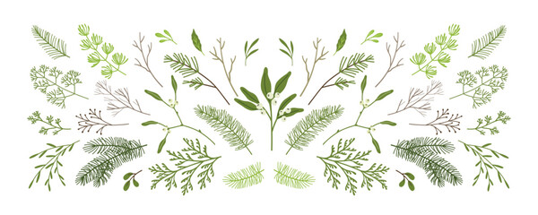 Christmas winter plants, mistletoe, branches of pine, spruce, fir, leaves, twigs. Holiday hand drawn decoration. vector illustration isolated on white background © Feodora_21