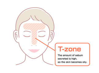 Vector illustration of T-zone of female face.
