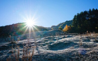 View of frozen hills and meadows in the mountains of Georgia. The sun is shining behind the forest and the meadow is frozen white