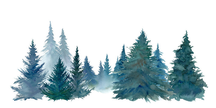針葉樹林の水彩イラスト。森林の風景。