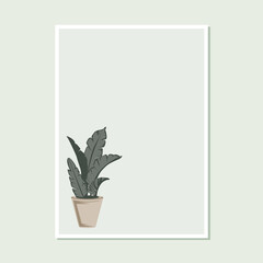 minimalistic house plant art pastel color for home wall decor framed poster print