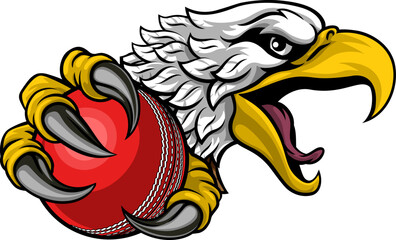 An eagle or hawk cricket ball cartoon sports team mascot