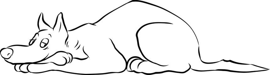 Liegender Hund liegt müde und zufrieden zum Mittagsschlaf