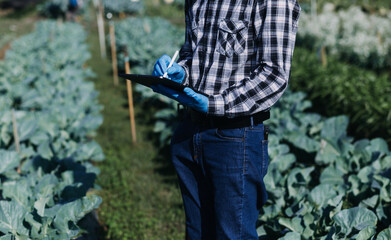 Obraz premium female farmer working early on farm holding wood basket of fresh vegetables and tablet.