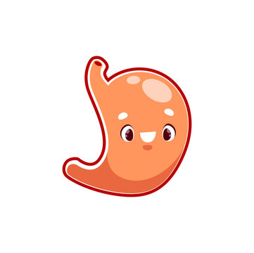 Cartoon stomach human body organ character. Vector digestive system personage with kawaii smiling face. Anatomy, medicine for kids, health care
