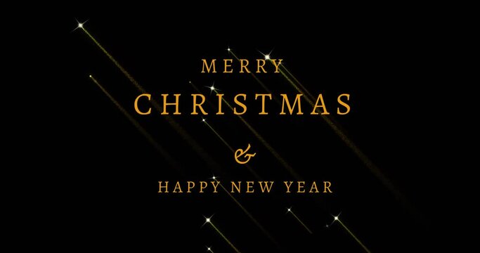 Animation of merry christmas and happy new year text over fireworks on black background