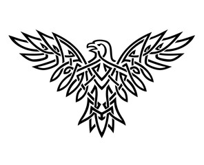 Celtic Eagle Ink Line Art Illustration