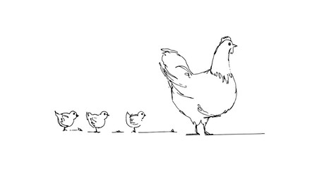 hand draw illustration chicken hens animal farm vector