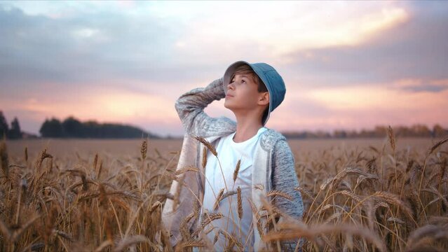 teenager boy in a golden wheat field looks at the beautiful colorful sky in the weather after rain at sunset, steadicam shot