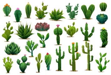 Foto op Canvas Cartoon prickly succulent cactus plants and desert flowers. Isolated vector green cacti plants of aloe, agave and opuntia with blossom flowers, prickly saguaro or peyote and tropical cactus © Vector Tradition