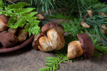 Imleria Badia or Boletus badius mushrooms commonly known as the bay bolete and clay bowl with mushrooms on vintage wooden background.