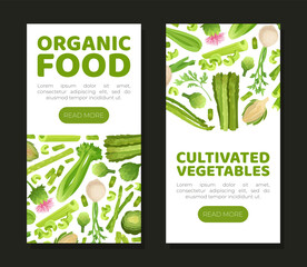 Green Vegetables Design with Celery Asparagus and Artichoke Vector Template