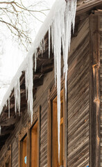 Long ice icicles hang on the edge of the roof, winter or spring. Log wall of an old wooden house with windows. Large cascades of icicles in smooth, beautiful rows. Cloudy winter day, soft light.