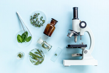 GMO geneticaly modified plants in laboratory. Research with microscope
