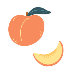 Ripe peach in cartoon flat style. Hand drawn vector illustration of fresh juicy fruit