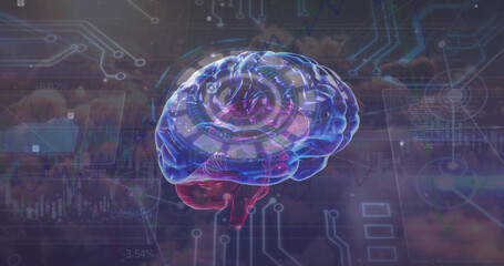Image of motherboard and brain in digital space