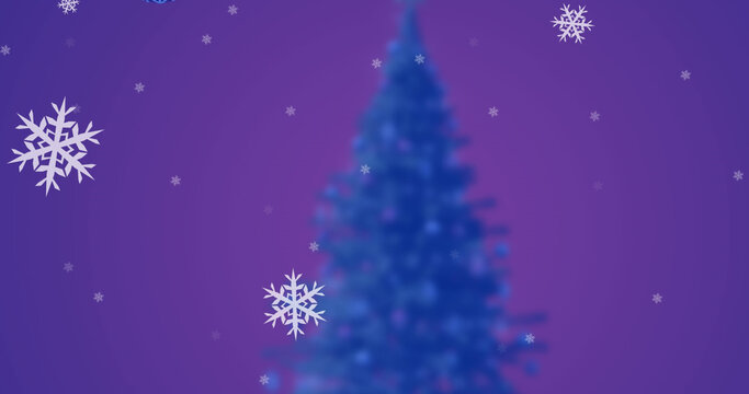 Composite of snow falling over christmas tree