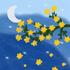 Beautiful night scenery 