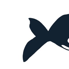 A tail of killer whale for background