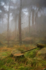 Digital painting of woodland winter mist and fog at The Roaches, Staffordshire.